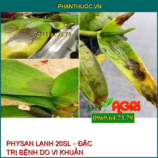 PHYSAN LẠNH 20SL – ĐẶC TRỊ BỆNH DO VI KHUẨN