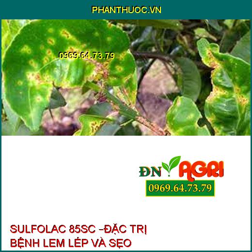 SULFOLAC 85SC –ĐẶC TRỊ BỆNH LEM LÉP VÀ SẸO