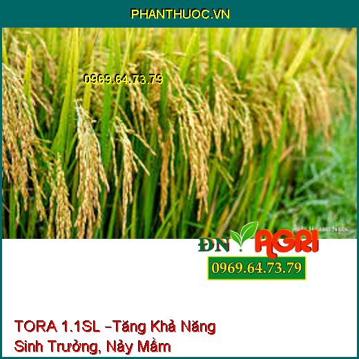 TORA 1.1SL –Tăng Khả Năng Sinh Trưởng, Nảy Mầm