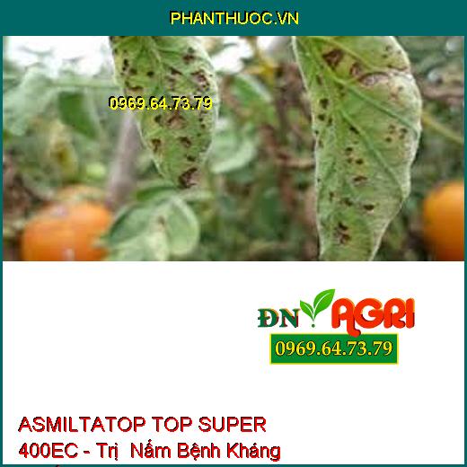 ASMILTATOP TOP SUPER 400EC - Trị Nấm Bệnh Kháng Thuốc