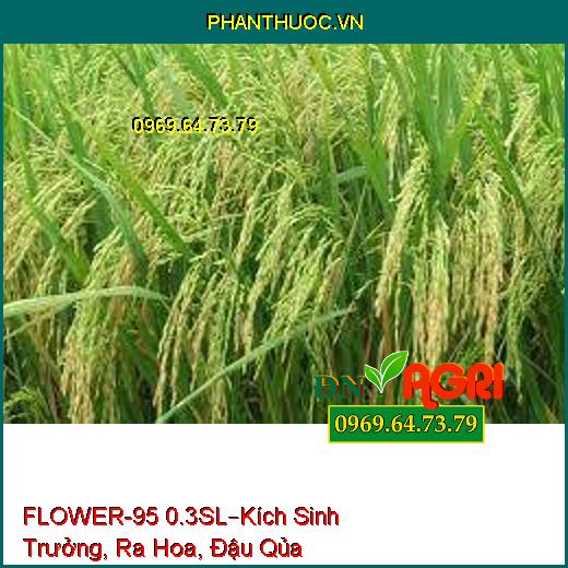 FLOWER-95 0.3SL–Kích Sinh Trưởng, Ra Hoa, Đậu Qủa