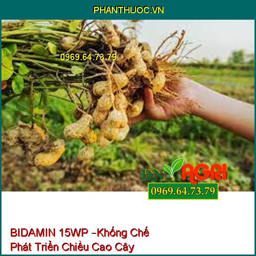 BIDAMIN 15WP –Khống Chế Phát Triển Chiều Cao Cây