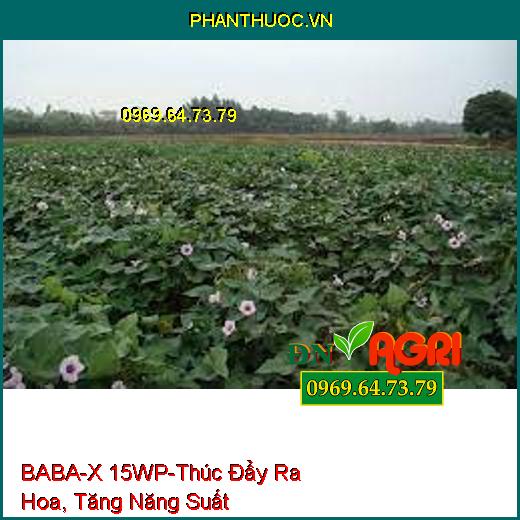 BABA-X 15WP-Thúc Đẩy Ra Hoa, Tăng Năng Suất