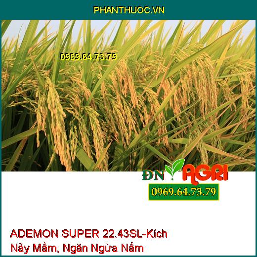 ADEMON SUPER 22.43SL-Kích Nảy Mầm, Ngăn Ngừa Nấm