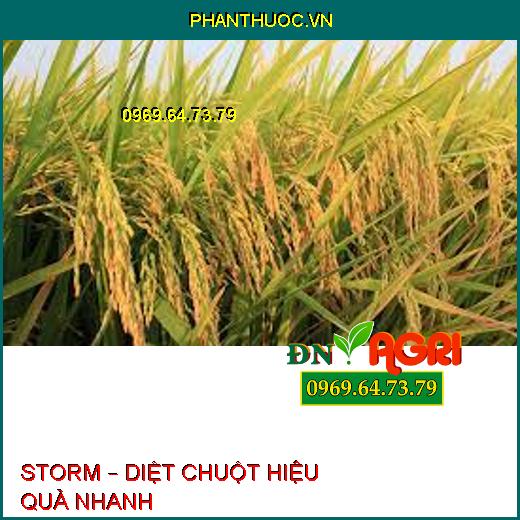 STORM – DIỆT CHUỘT HIỆU QUẢ NHANH