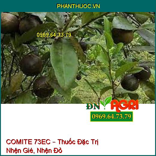 COMITE 73EC – Thuốc Đặc Trị Nhện Gié, Nhện Đỏ