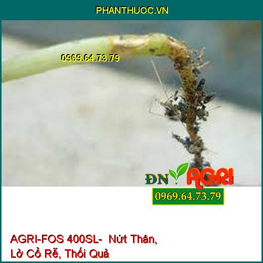 AGRI-FOS 400SL- Nứt Thân, Lở Cổ Rễ, Thối Quả