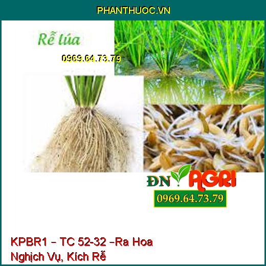 KPBR1 – TC 52-32 –Ra Hoa Nghịch Vụ, Kích Rễ