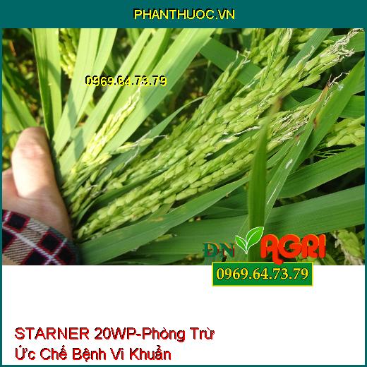 STARNER 20WP-Phòng Trừ Ức Chế Bệnh Vi Khuẩn