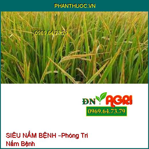 SIÊU NẤM BỆNH –Phòng Tri Nấm Bệnh