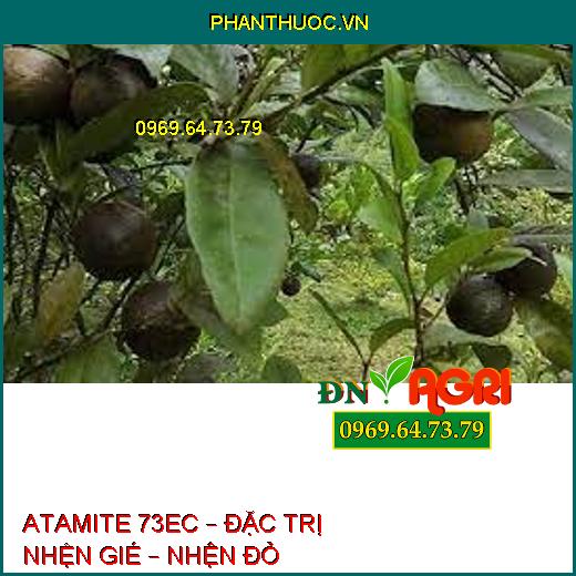 ATAMITE 73EC – ĐẶC TRỊ NHỆN GIÉ – NHỆN ĐỎ