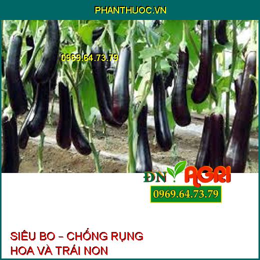 SIÊU BO – CHỐNG RỤNG HOA VÀ TRÁI NON