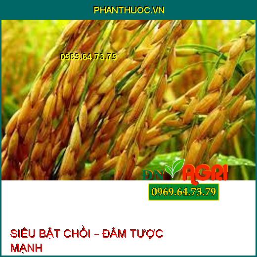 SIÊU BẬT CHỒI – ĐÂM TƯỢC MẠNH