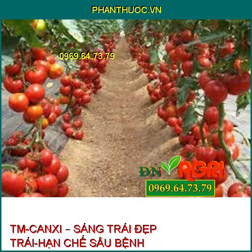 TM-CANXI – SÁNG TRÁI ĐẸP TRÁI-HẠN CHẾ SÂU BỆNH