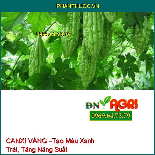 CANXI VÀNG –Tạo Màu Xanh Trái, Tăng Năng Suất