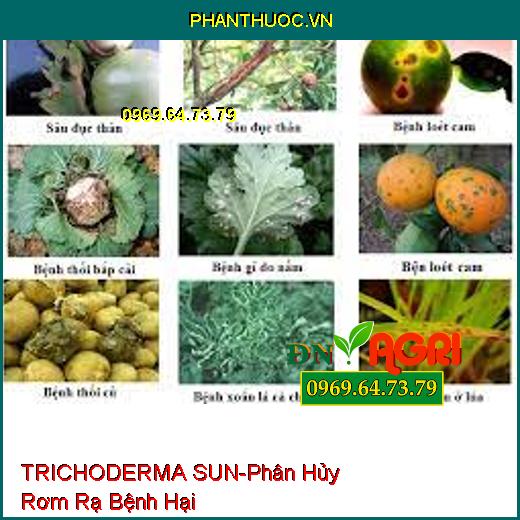 TRICHODERMA SUN-Phân Hủy Rơm Rạ Bệnh Hại