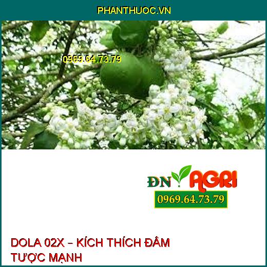 DOLA 02X – KÍCH THÍCH ĐÂM TƯỢC MẠNH