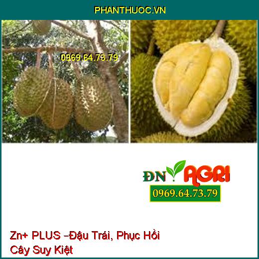 Zn+ PLUS –Đậu Trái, Phục Hồi Cây Suy Kiệt