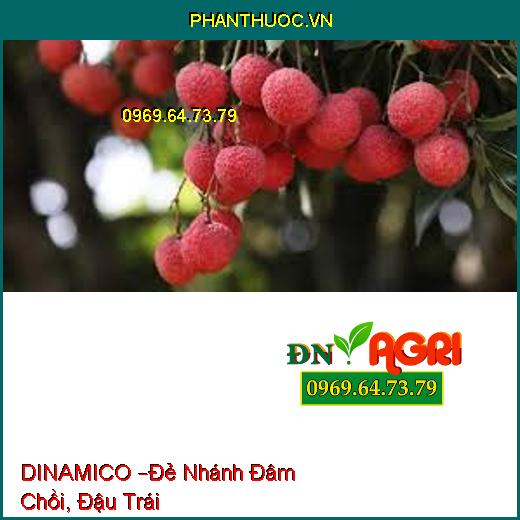 DINAMICO –Đẻ Nhánh Đâm Chồi, Đậu Trái