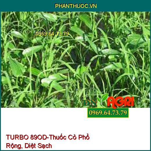 TURBO 89OD-Thuốc Cỏ Phổ Rộng, Diệt Sạch