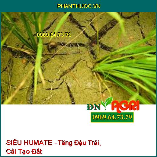 SIÊU HUMATE –Tăng Đậu Trái, Cải Tạo Đất