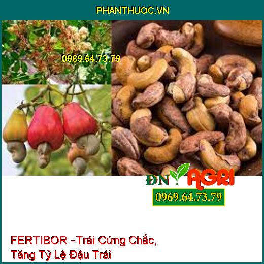 FERTIBOR –Trái Cứng Chắc, Tăng Tỷ Lệ Đậu Trái