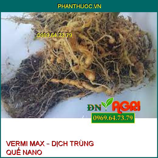 VERMI MAX – DỊCH TRÙNG QUẾ NANO