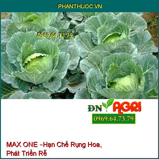 MAX ONE –Hạn Chế Rụng Hoa, Phát Triển Rễ