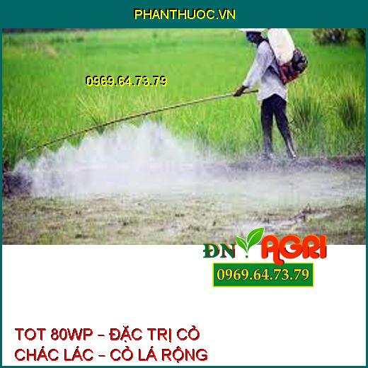 TOT 80WP – ĐẶC TRỊ CỎ CHÁC LÁC – CỎ LÁ RỘNG