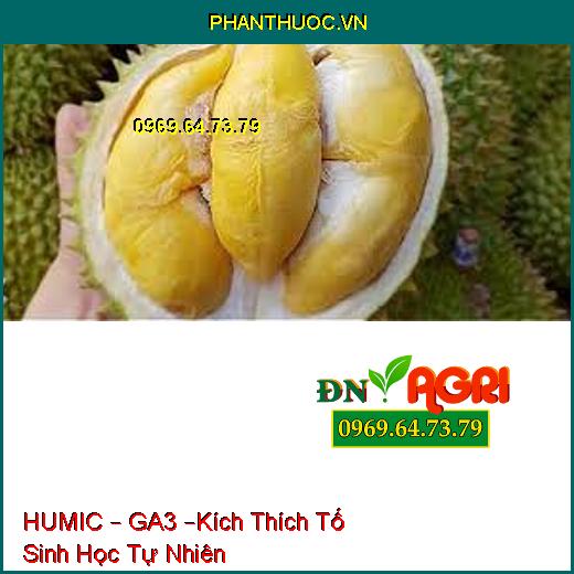 HUMIC – GA3 –Kích Thích Tố Sinh Học Tự Nhiên