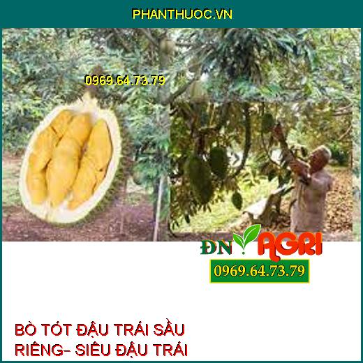 BÒ TÓT ĐẬU TRÁI SẦU RIÊNG– SIÊU ĐẬU TRÁI