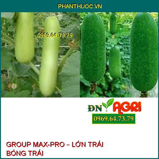 GROUP MAX-PRO – LỚN TRÁI BÓNG TRÁI