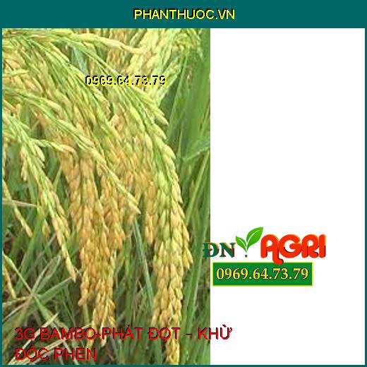 3G BAMBO-PHÁT ĐỌT – KHỬ ĐỘC PHÈN