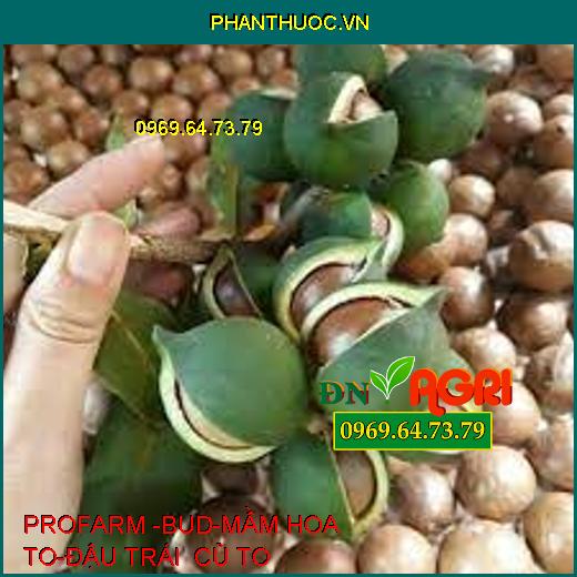 PROFARM -BUD-MẦM HOA TO-ĐẬU TRÁI CỦ TO