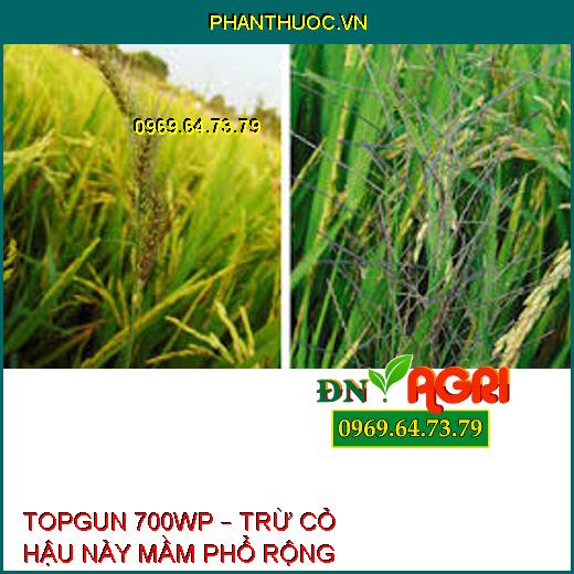 TOPGUN 700WP – TRỪ CỎ HẬU NẢY MẦM PHỔ RỘNG