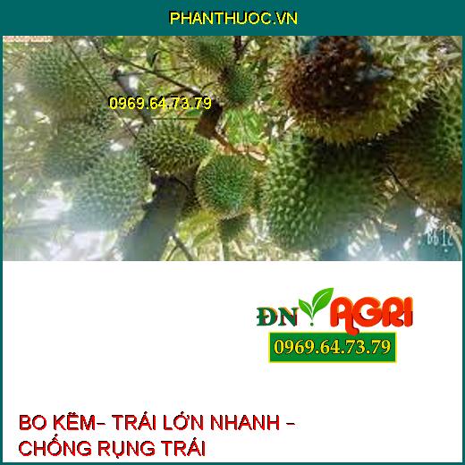 BO KẼM– TRÁI LỚN NHANH – CHỐNG RỤNG TRÁI