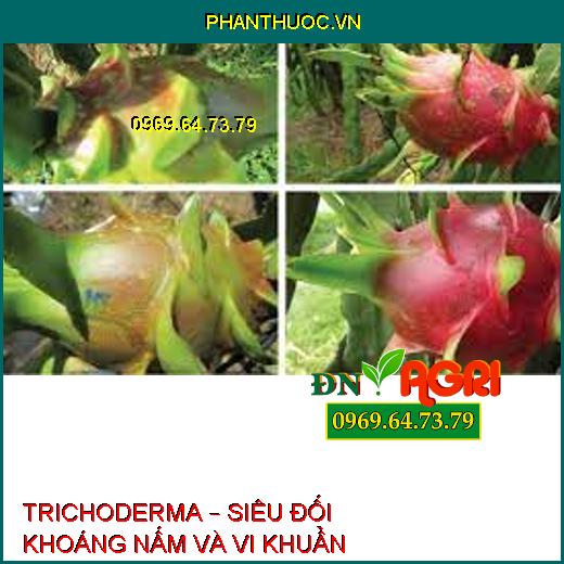 TRICHODERMA – SIÊU ĐỐI KHOÁNG NẤM VÀ VI KHUẨN