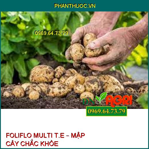 FOLIFLO MULTI T.E – MẬP CÂY CHẮC KHỎE