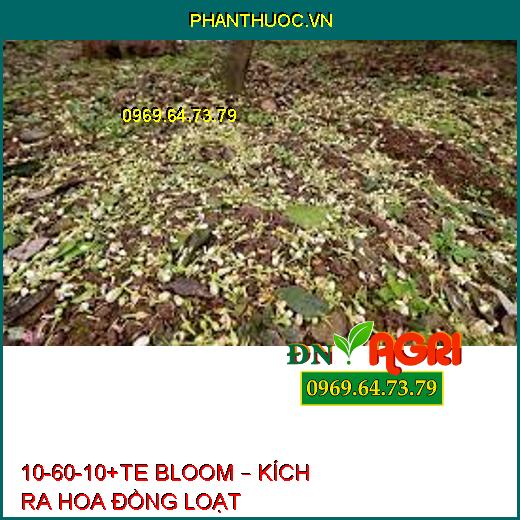 10-60-10+TE BLOOM – KÍCH RA HOA ĐỒNG LOẠT