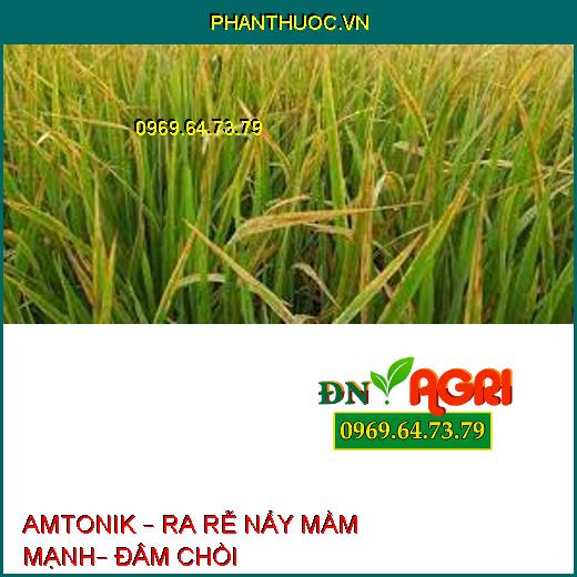 AMTONIK – RA RỄ NẨY MẦM MẠNH– ĐÂM CHỒI