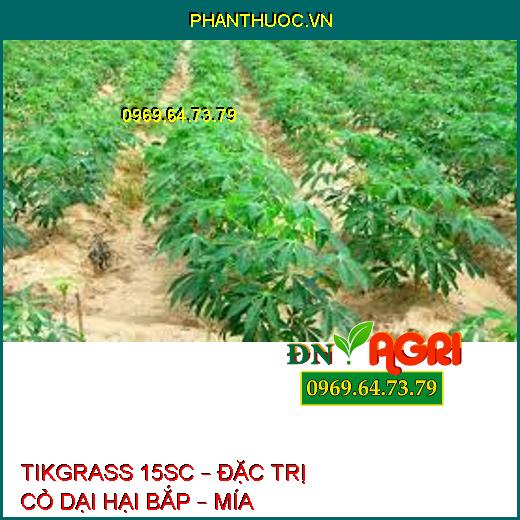 TIKGRASS 15SC – ĐẶC TRỊ CỎ DẠI HẠI BẮP – MÍA