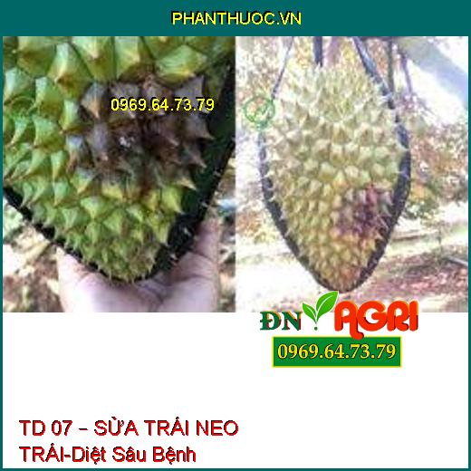 TD 07 – SỬA TRÁI NEO TRÁI-Diệt Sâu Bệnh