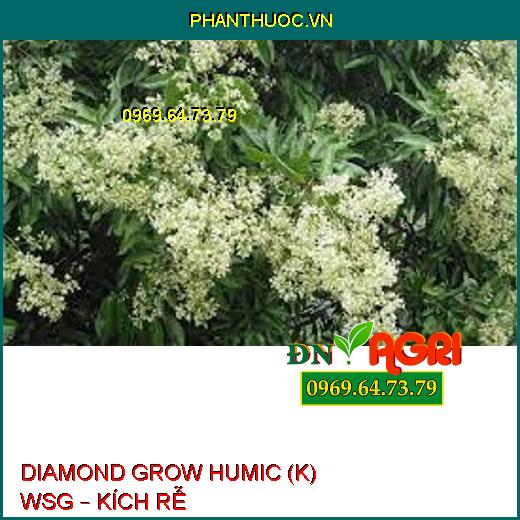 DIAMOND GROW HUMIC (K) WSG – KÍCH RỄ 