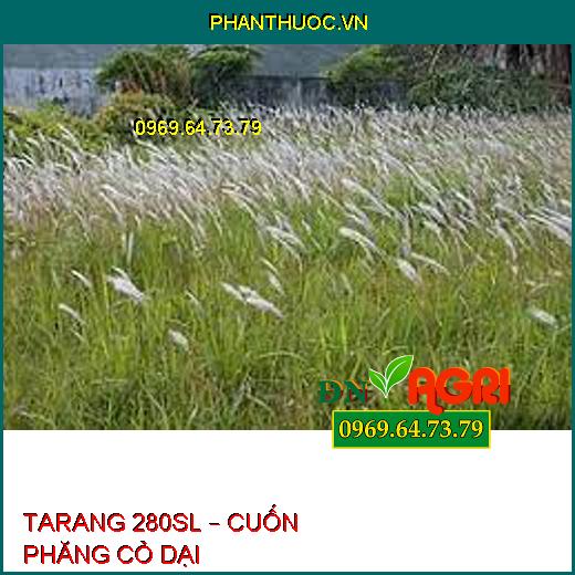 TARANG 280SL – CUỐN PHĂNG CỎ DẠI