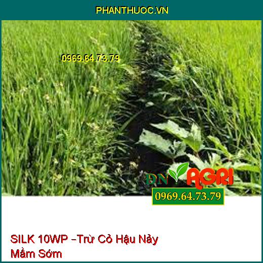 SILK 10WP –Trừ Cỏ Hậu Nảy Mầm Sớm