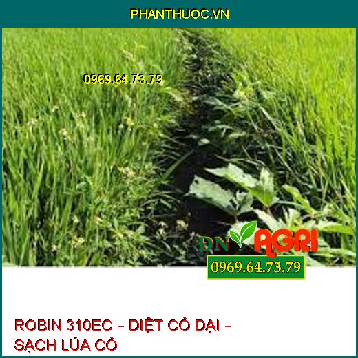 ROBIN 310EC – DIỆT CỎ DẠI – SẠCH LÚA CỎ