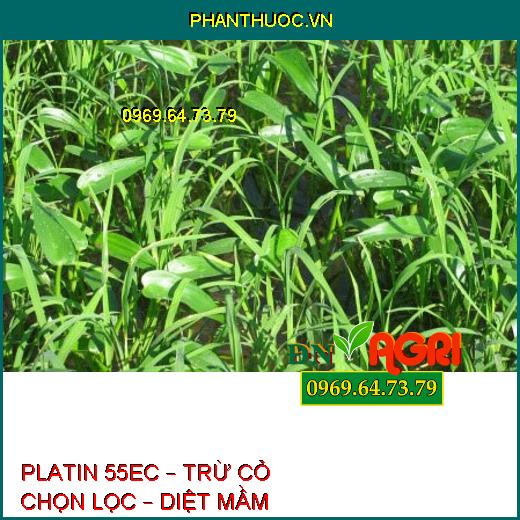 PLATIN 55EC – TRỪ CỎ CHỌN LỌC – DIỆT MẦM