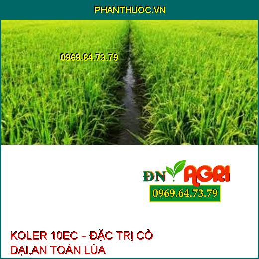 KOLER 10EC – ĐẶC TRỊ CỎ DẠI,AN TOÀN LÚA