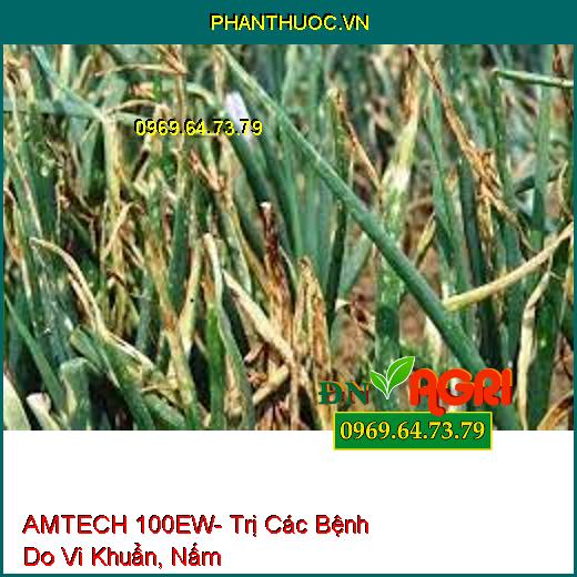 AMTECH 100EW- Đặc Trị Các Bệnh Do Vi Khuẩn, Nấm