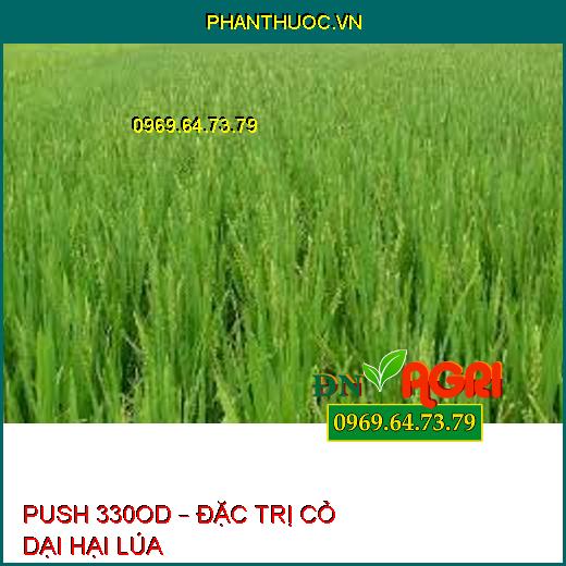 PUSH 330OD – ĐẶC TRỊ CỎ DẠI HẠI LÚA